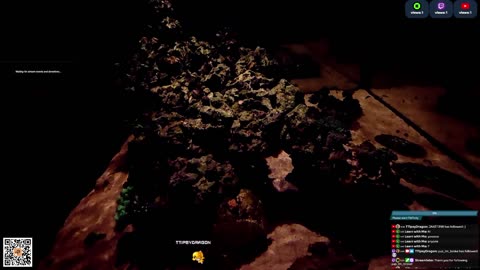 24/7 Real Live Reef Stream
