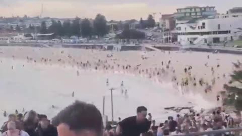 Crowd flees from MASS SHOOTING at Bondi Beach