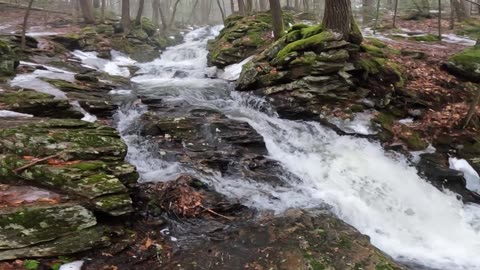 Cascades