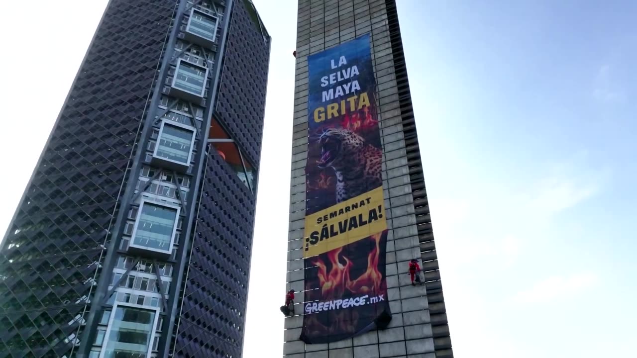Mexican activists demand action to protect Maya jungle