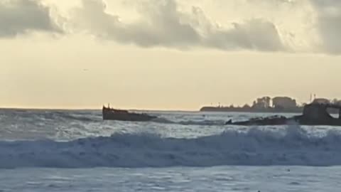 SS Palo Alto
