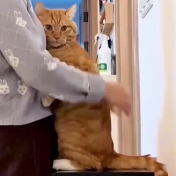 Everyone needs a hug sometimes.. 😊