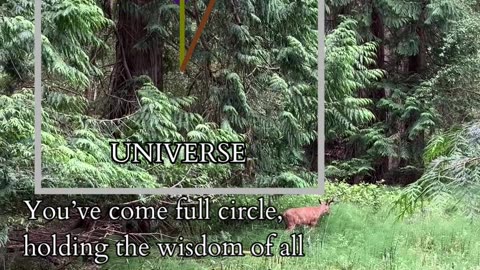 Power of Now | Path and Tarot Reading