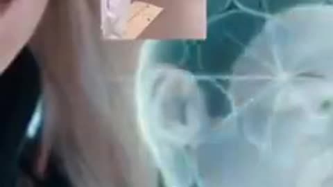 They tell us the truth in movies and on TV