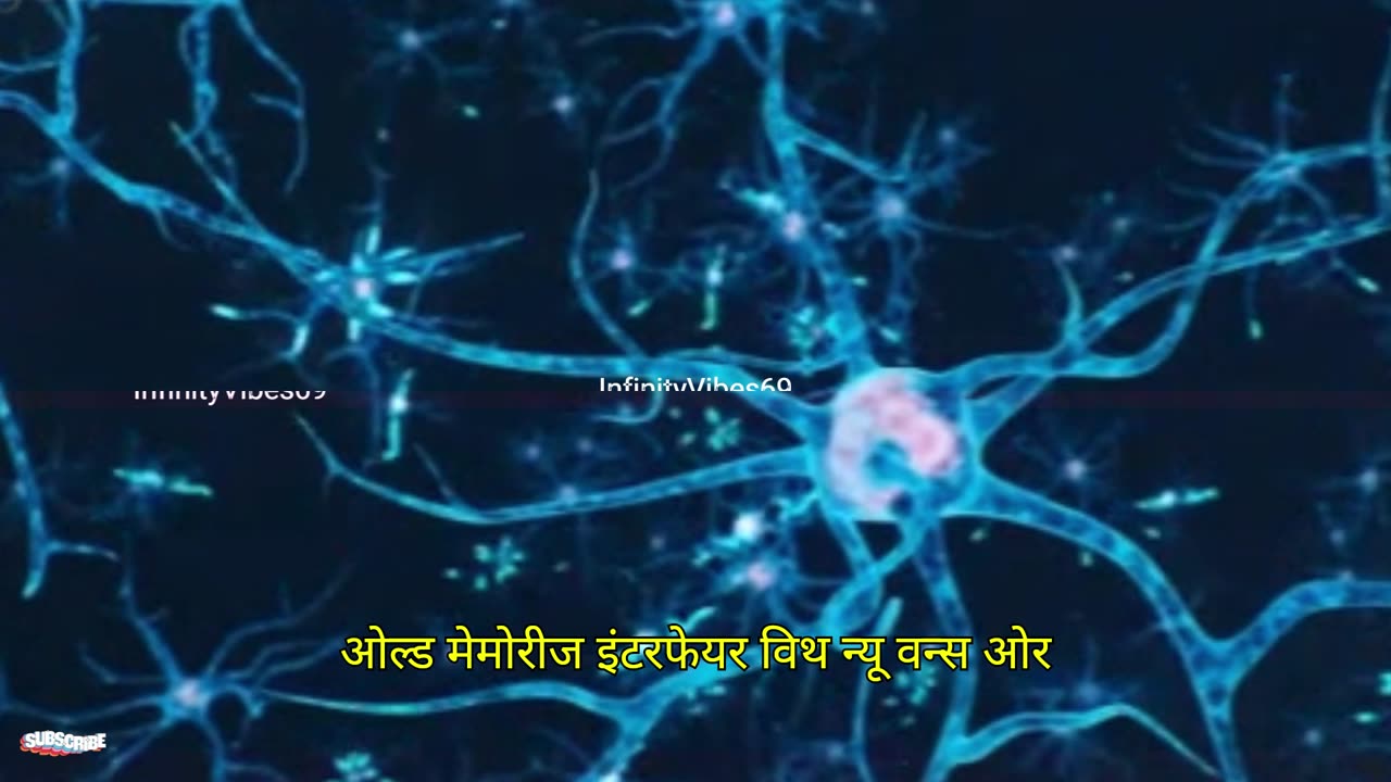 Proven Techniques to Boost Memory