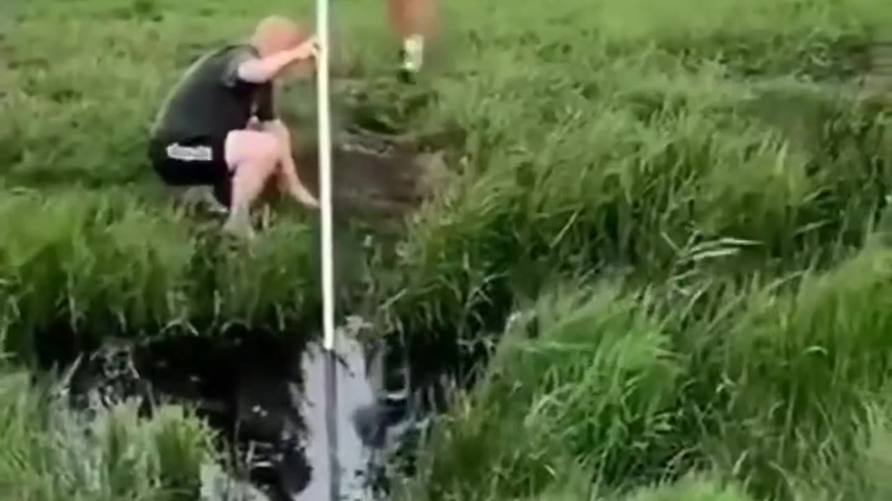 Funny video 😂📸