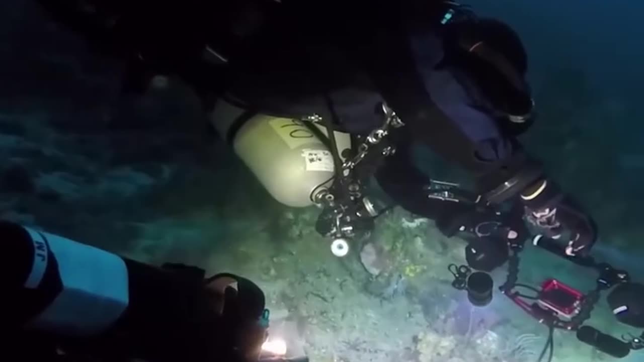 Trustfire DF35 2350 Lumens Diving Flashlight Led Spotlight Flood