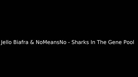 The Moshpit - Classic Punk, Hardcore & NYHC Live Radio 24/7