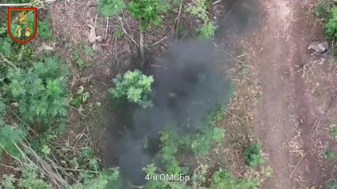Ukraine war combat footage 8/15/25