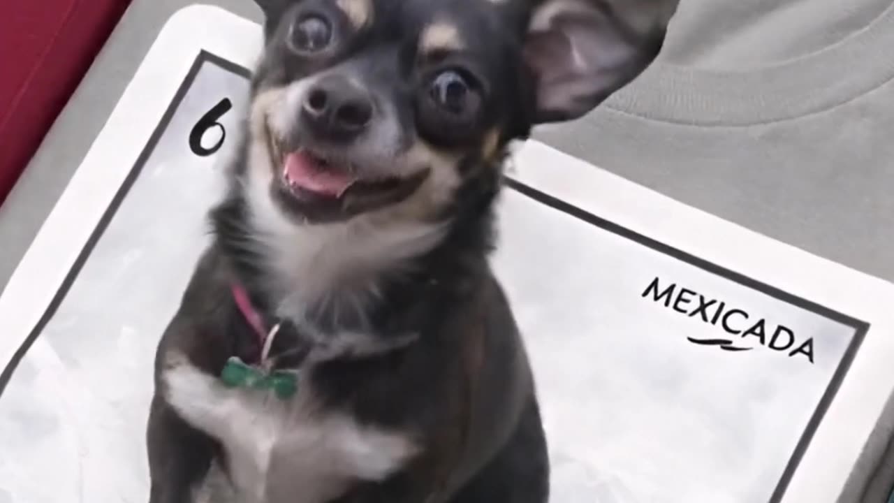 Vibing to my favorite tunes in this LA Estrella sweatshirt! Are you ready to rock this look? #