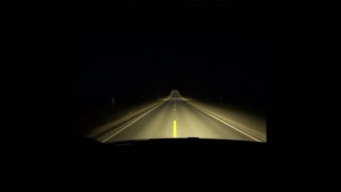 Desert Rose - US State Road 50 - A short story.