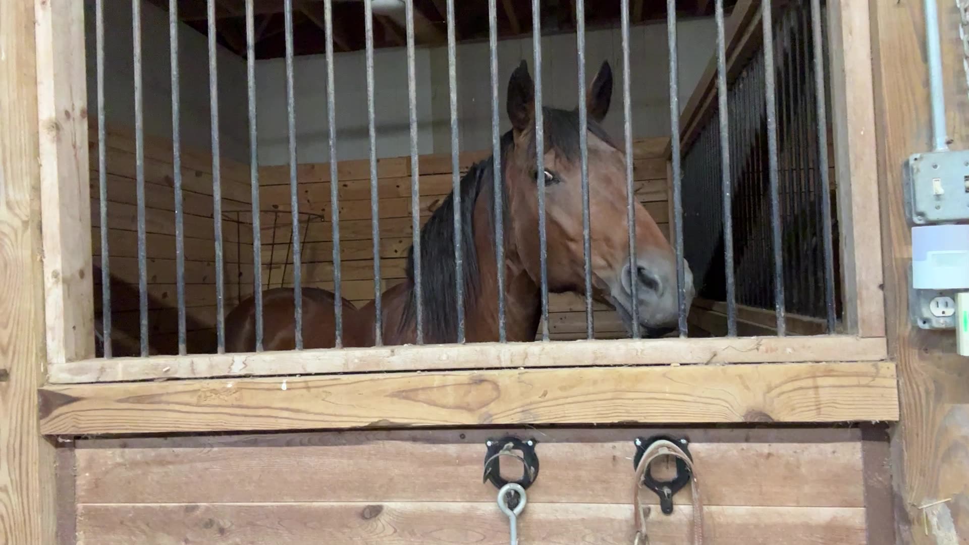 Morning Prayer, Daily office