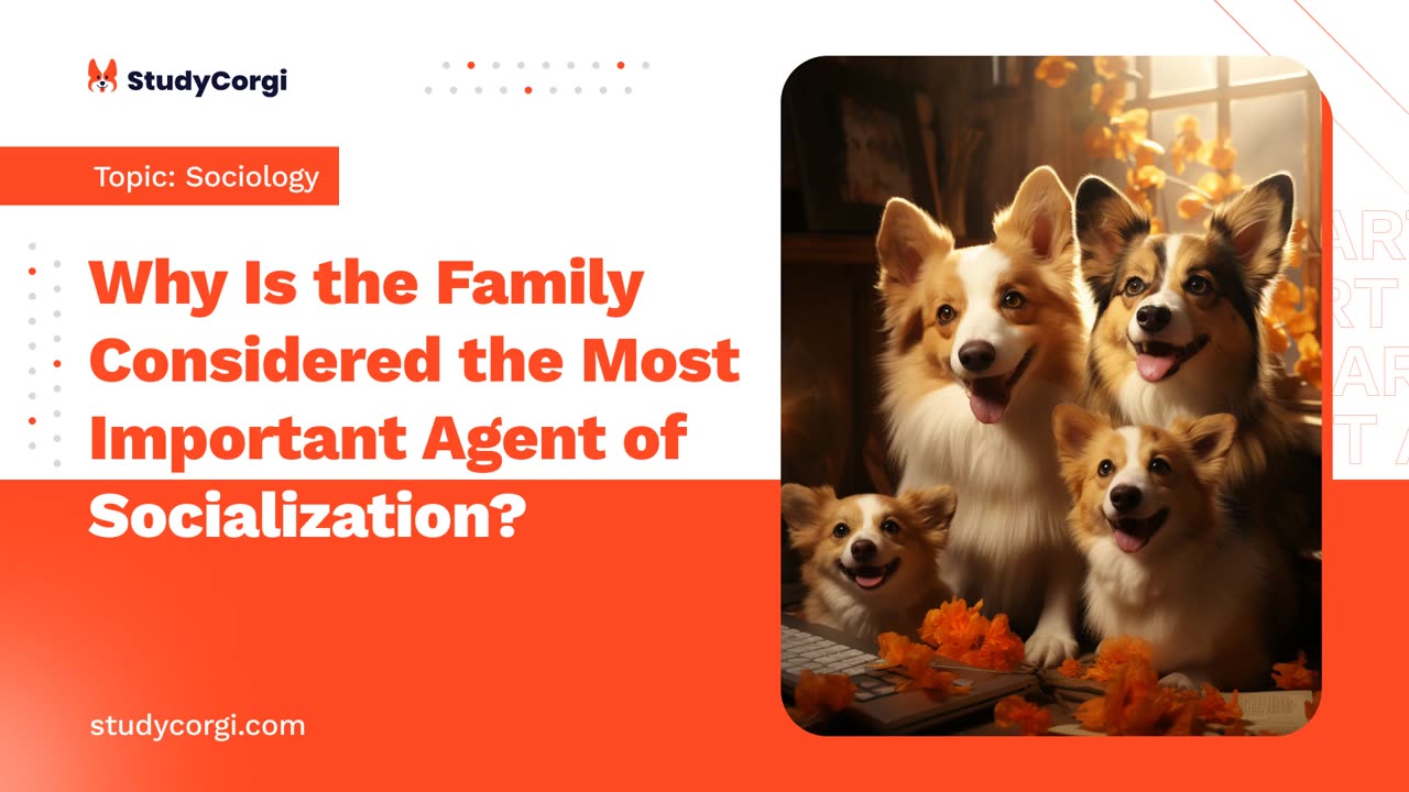 Why Is the Family Considered the Most Important Agent of Socialization - Research Paper Example