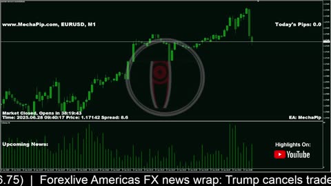 🐳 MechaPip Live Forex Signals: EURUSD Trading 24/7 🐳