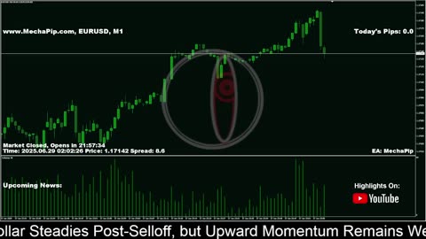 🐳 MechaPip Live Forex Signals: EURUSD Trading 24/7 🐳