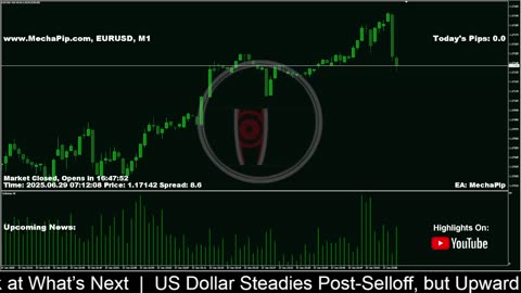 🐳 MechaPip Live Forex Signal: EURUSD Trading 24/7 🐳