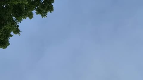 RESTING IN THE MIND AS IT IS - Lama Dawa's Commentary