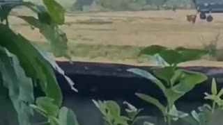 💥🛫 Myanmar War | Junta Air Assault Footage | RCF
