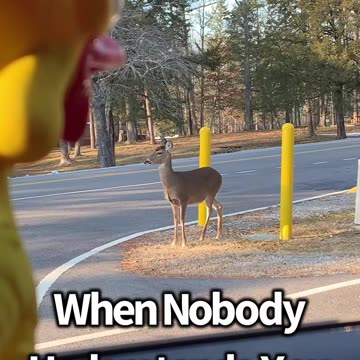 When Nobody Understands You