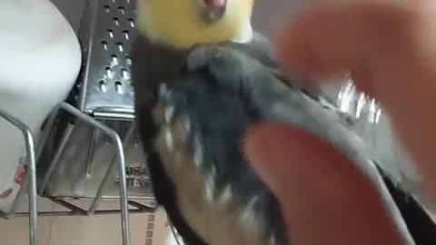 Don't make me angry.