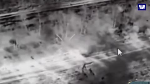 Artillery Units of the "Vostok" Group