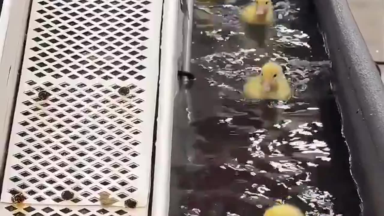 Help them reach where they want to go