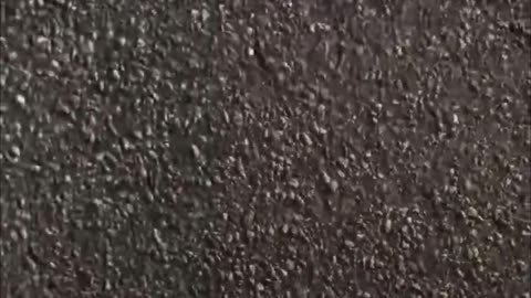 😳Le apunta con un arma, pero se arrepiente de inmediato