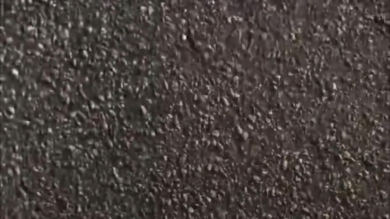 😳Le apunta con un arma, pero se arrepiente de inmediato