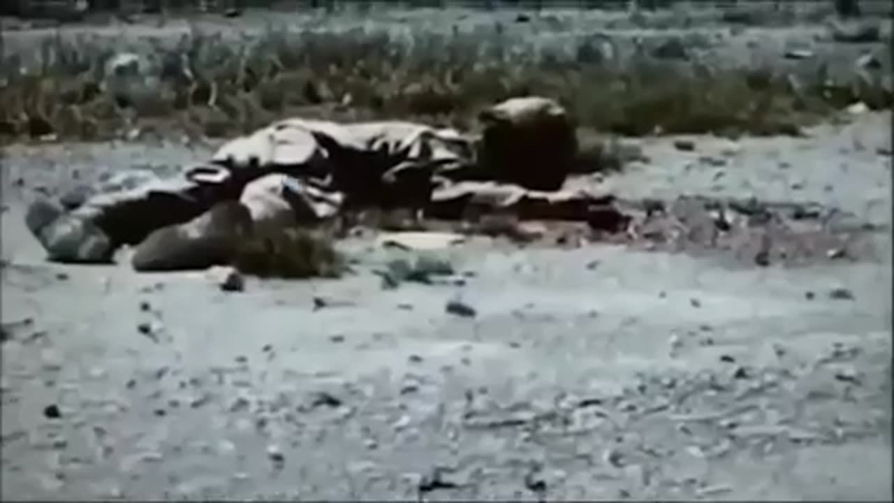 THE IRON CURTAIN'S ENDURING DARKNESS [Short Documentary]