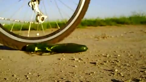 Running Over Cucumber with Bike