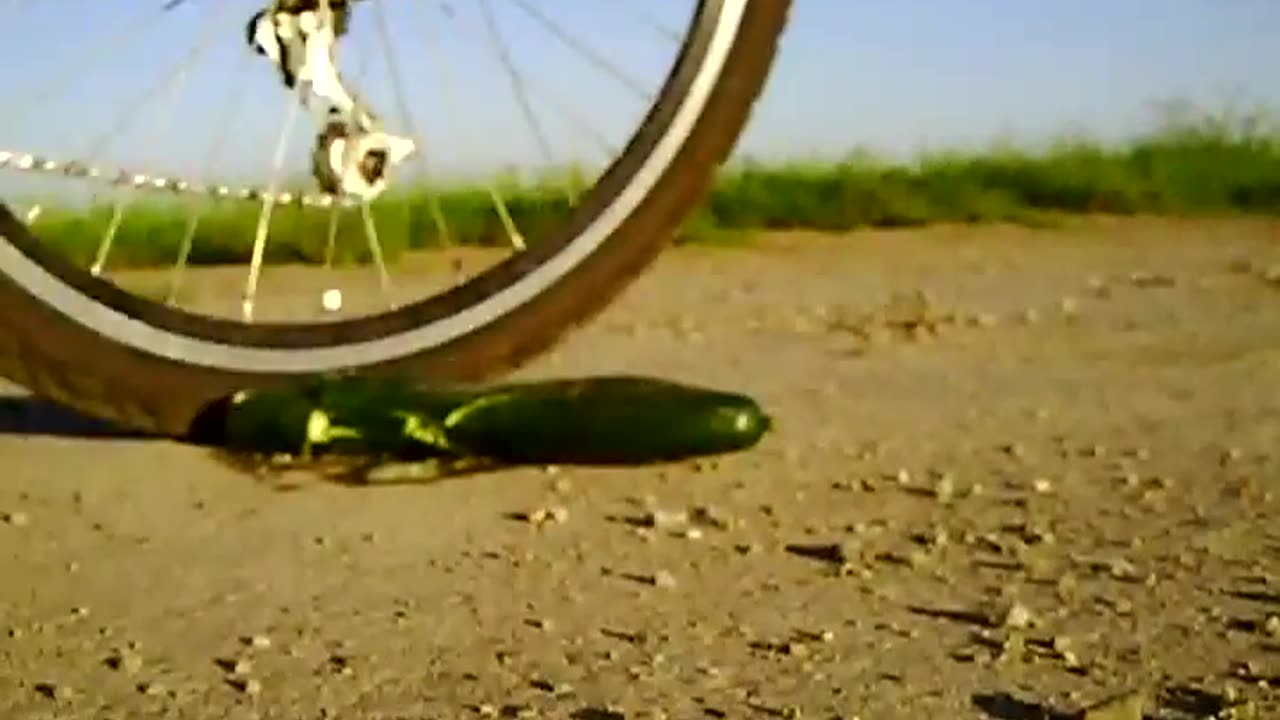 Running Over a Cucumber with a Bike