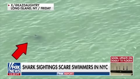 Safety fears are rekindled by shark sightings in New York.