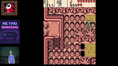 Legend of Zelda Oracle of Ages GameBoy Color
