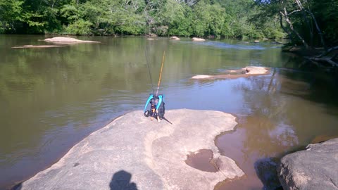 Lazy Fishing