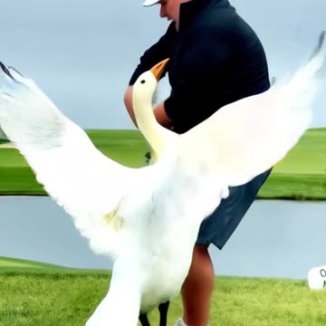 A NICE RELAXING SUNDAY!!!⛳️😂😂😂