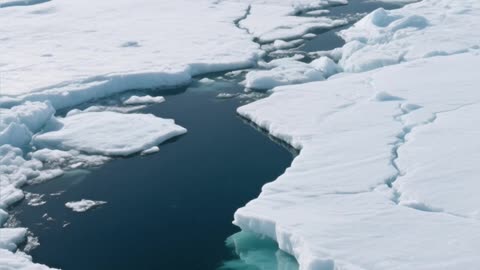 Quick Facts There's an Ocean of Life Under Antarctica's Ice!