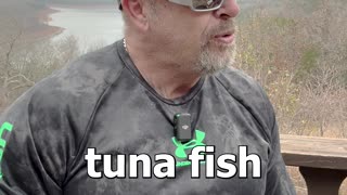 Tuna Fish Sandwich