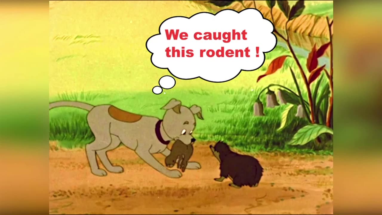 Hedgehog and dog caught an evil rodent! Field guards. 🎬✨❤️ ⏰