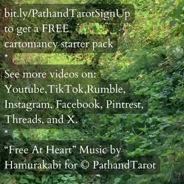 Reliable Lessons | Path and Tarot Reading