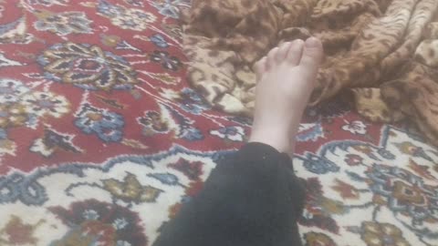 Foot