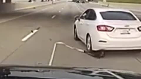 🚨💥 You Won't Believe This Wild Police Chase! | FunFM