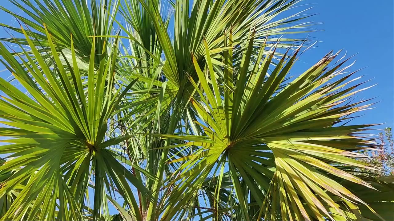 Test 153