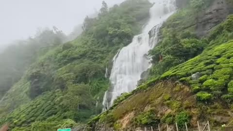 Indian roads in the Monsoon season! #Kerala #travelshorts
