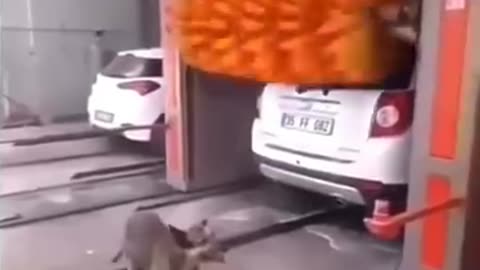 Funny