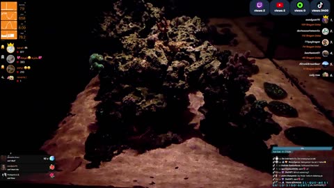24/7 Real Live Reef Stream