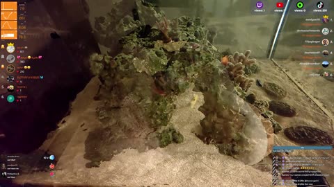 24/7 Real Live Reef Stream