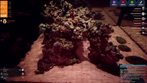 24/7 Real Live Reef Stream