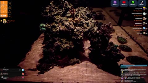 24/7 Real Live Reef Stream