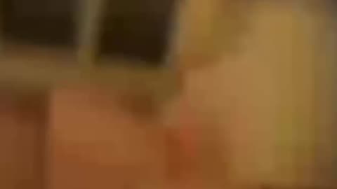 Bomb ur live like a pig