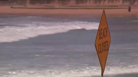 Man killed in shark attack in Australia after screams of 'don't bite me' heard
